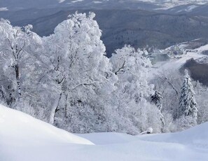 Uitzicht vanuit accommodatie