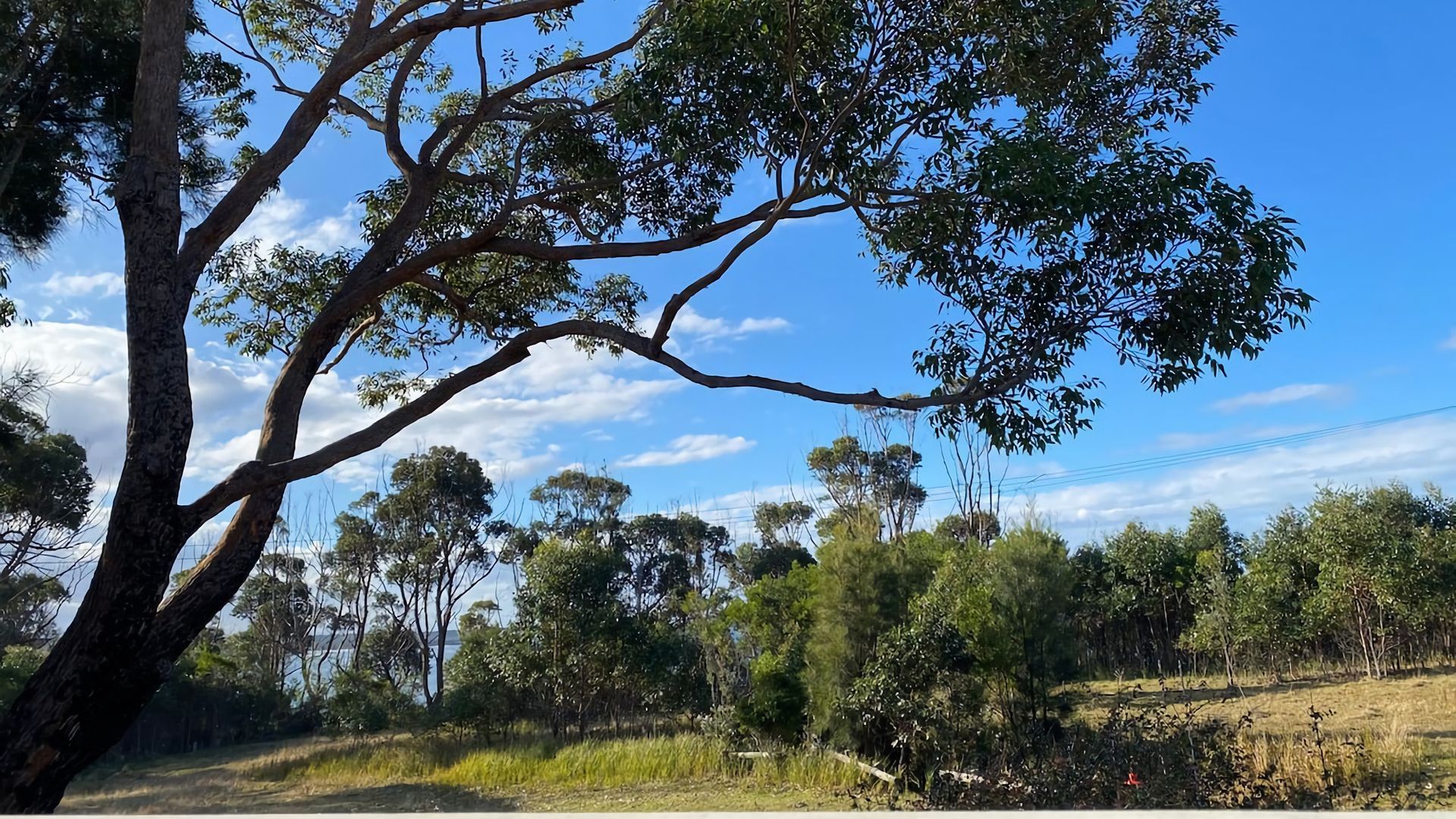 Un paysage naturel avec des arbres et un ciel dégagé.