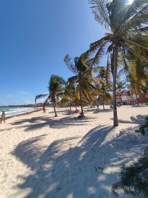 Playa