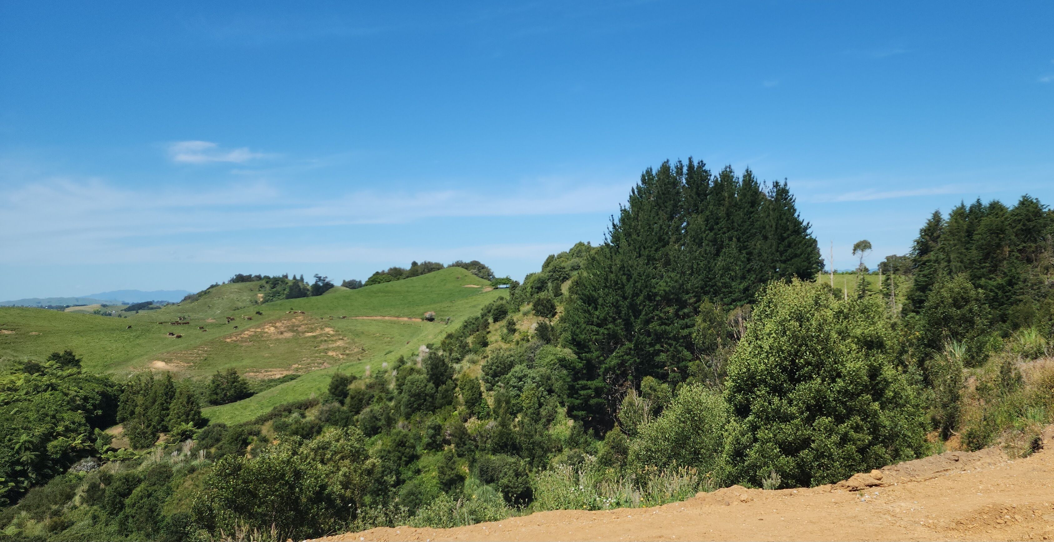 A hilly landscape with dense forests and a clear sky.