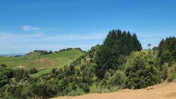 A hilly landscape with dense forests and a clear sky.