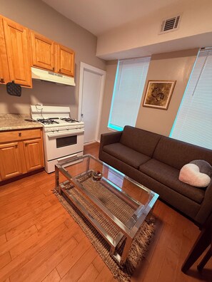Living area - Spacious 3-BR apartment in brilliant  Near Yale University and Hospitals#Apt 5 (New Haven)