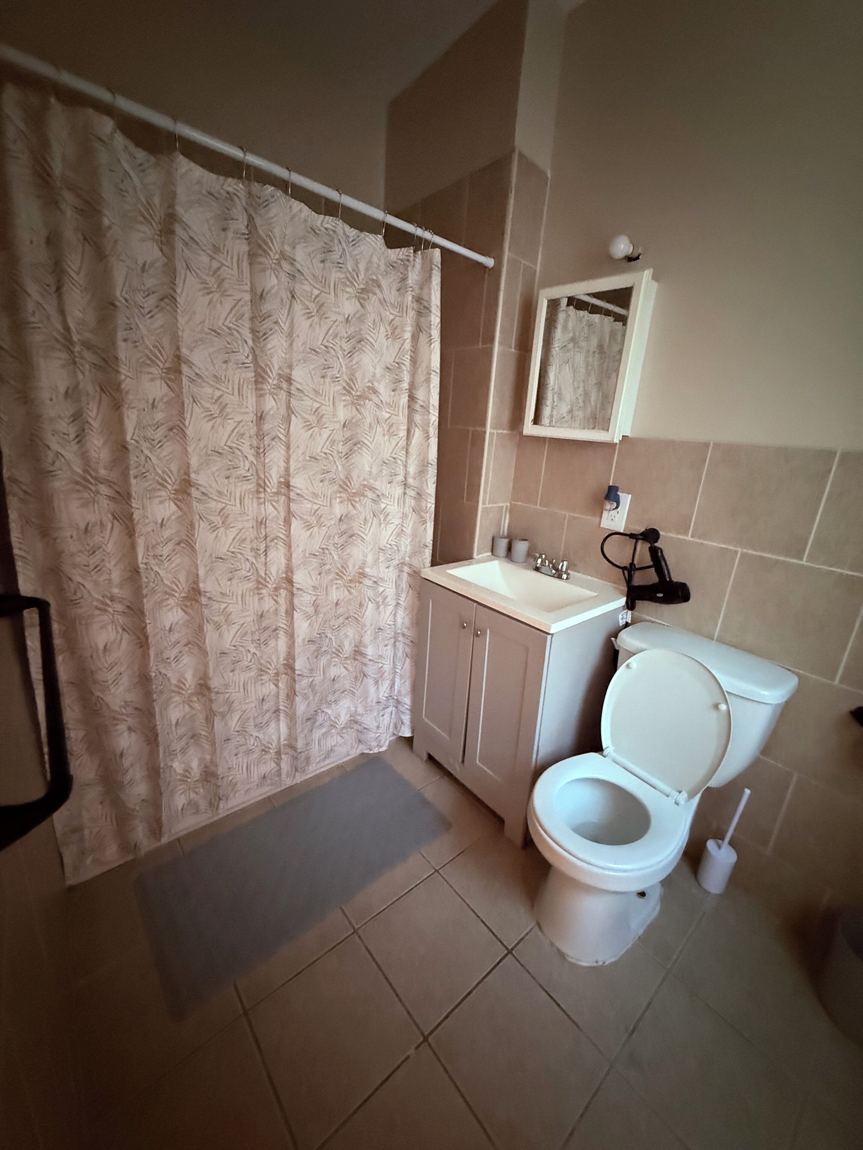Hair dryer, towels, soap, toilet paper