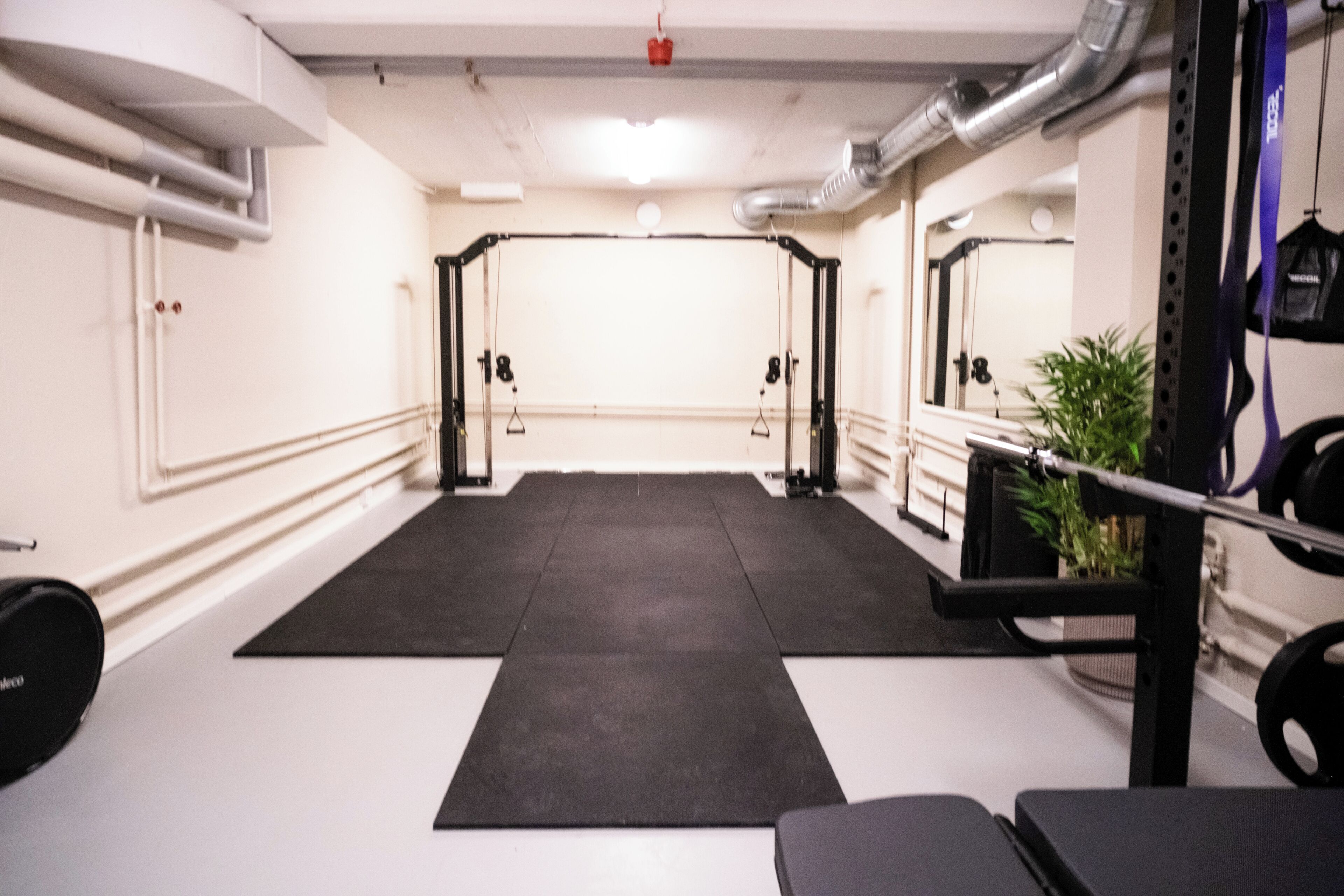 A gym with exercise equipment, a black mat, and a plant.