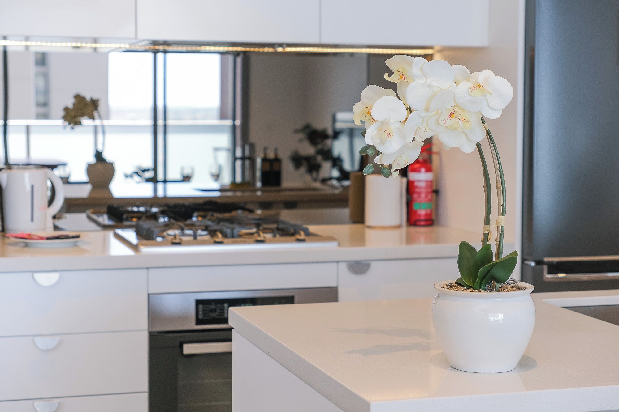 Micro-ondes, four, plaque de cuisson, lave-vaisselle