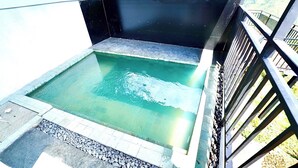 Piscina rectangular con borde de piedra y barandilla metálica en un lateral.