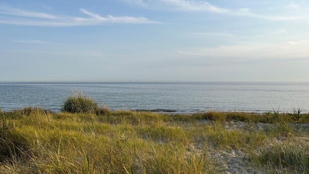 A coastal landscape with a view of the sea and grassy dunes. - 3 bedroom cozy home in Trelleborg (Trelleborg)