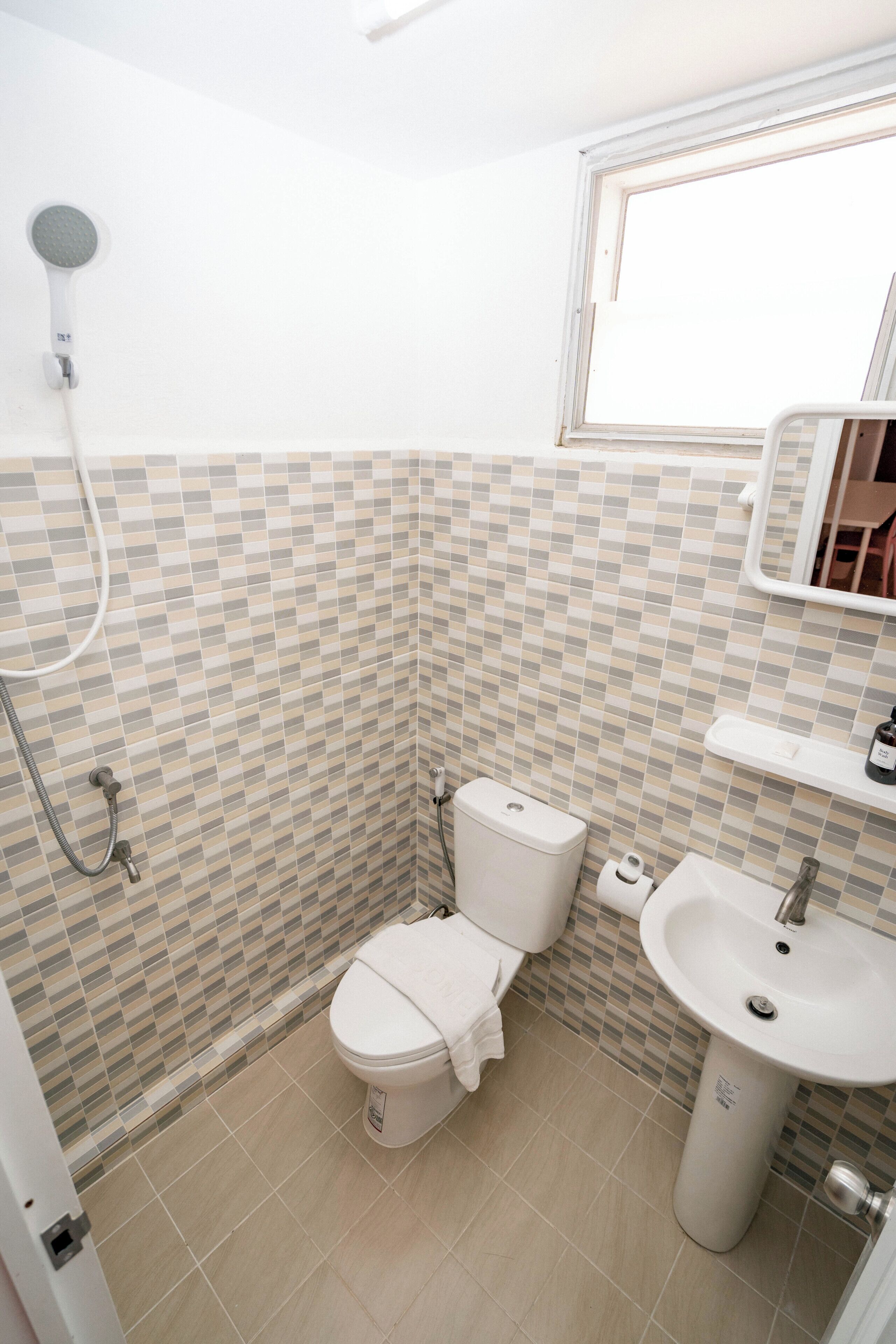 A bathroom with a tiled shower wall, a toilet, a sink, and a mirror.