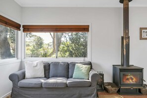 Una Smart TV, una chimenea