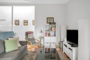 Smart-TV, Kamin