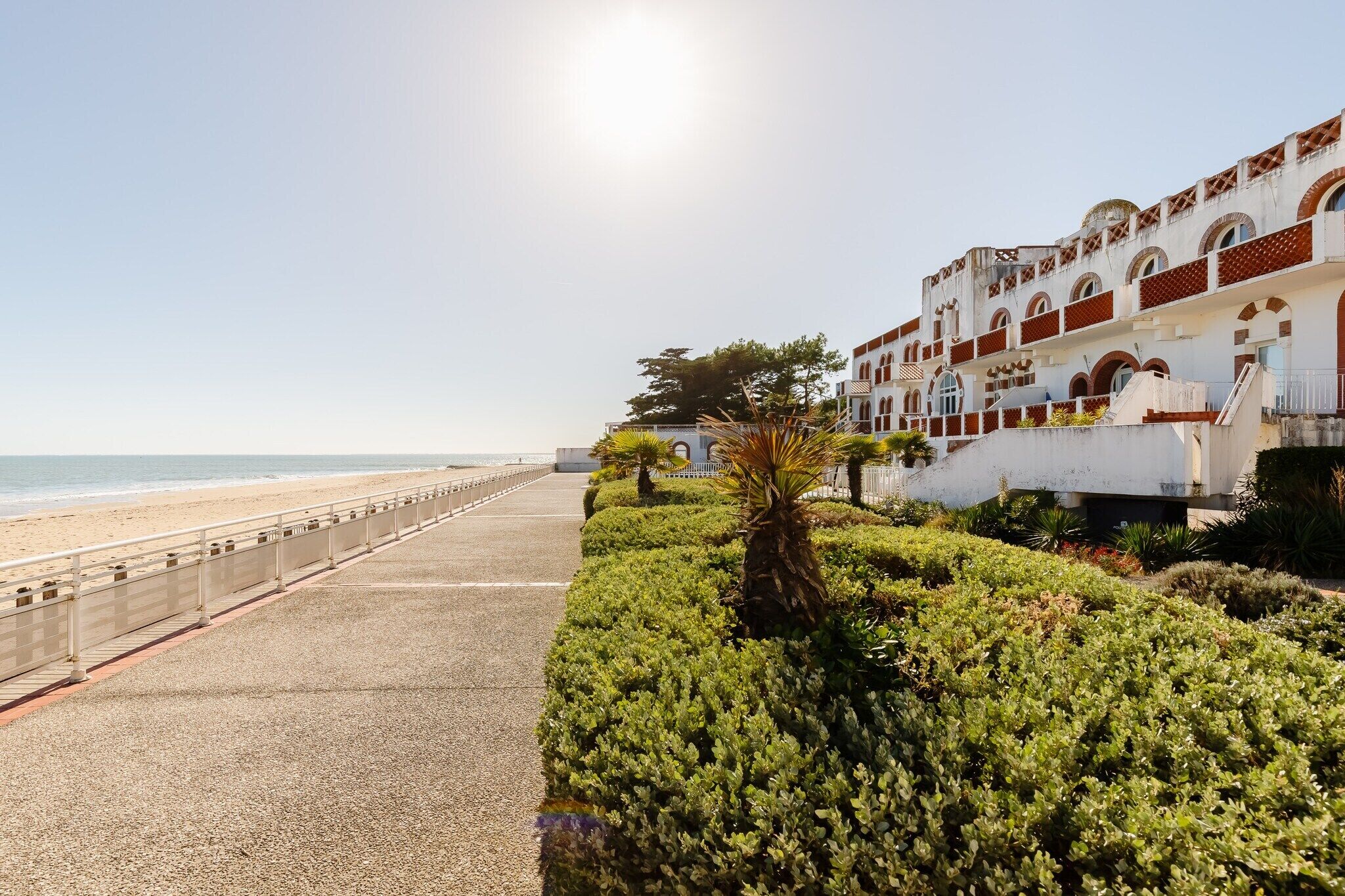 Un hotel frente al mar con un paseo marítimo, un camino bordeado de palmeras y vistas al océano.