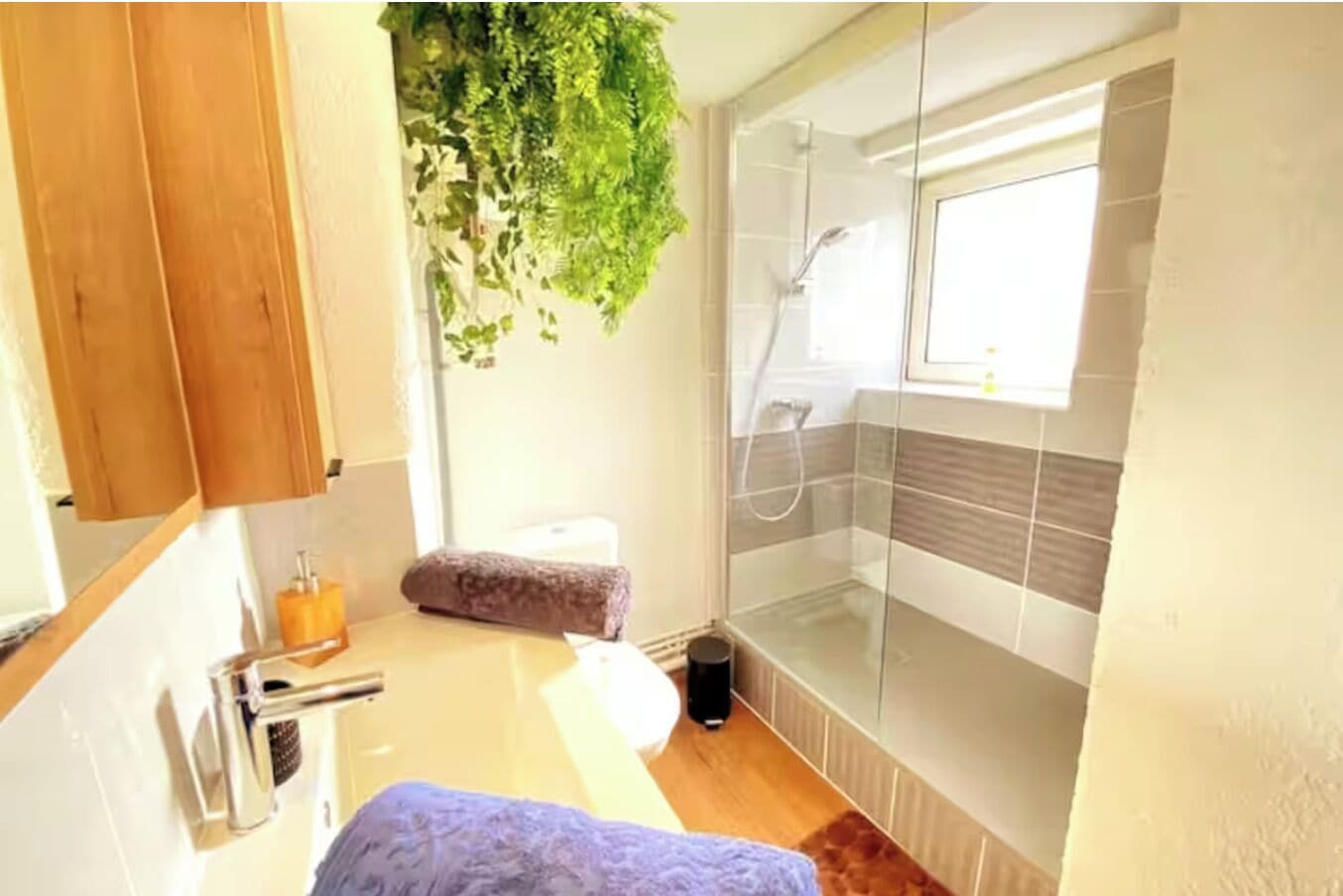 Haartrockner, Handtücher, Seife, Toilettenpapier