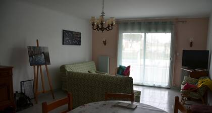 bord de riviere,30mn La Rochelle/ ile de ré,500 M commerce; . animaux acceptés