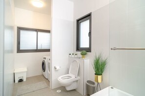 Chuveiro, secador de cabelo, toalhas de banho, shampoo