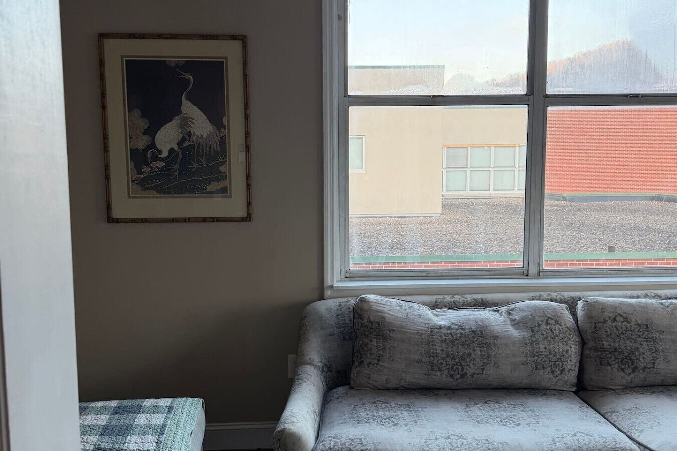 Una habitación con ventana, un cuadro enmarcado en la pared y un sofá con cojines estampados.