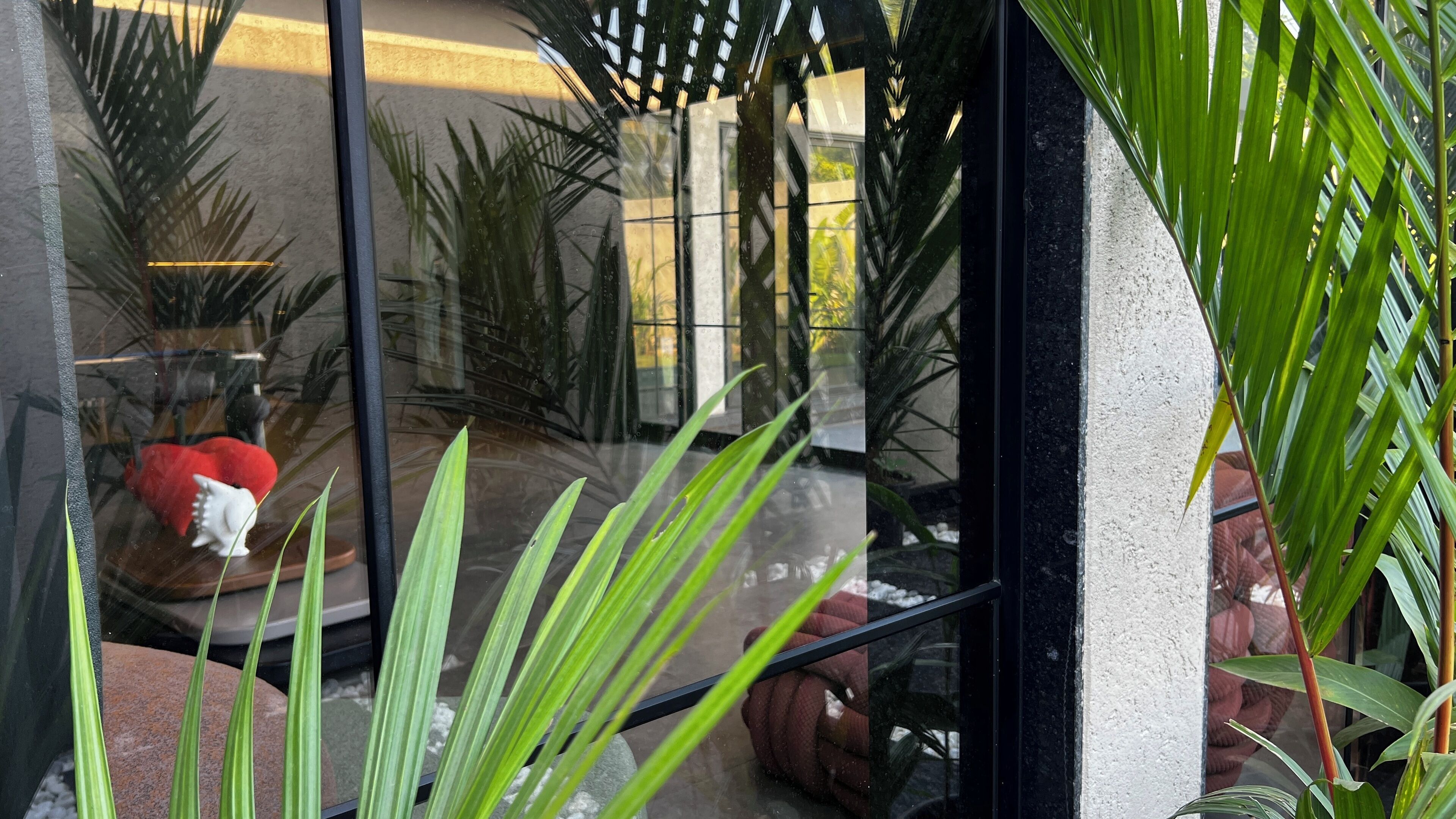 A glass door with reflections of indoor plants and a red plush toy.