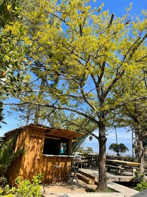 Terrace/patio - Maison de Bertic: Haven of Peace with Pool & Jacuzzi by the pond (Lège-Cap-Ferret)