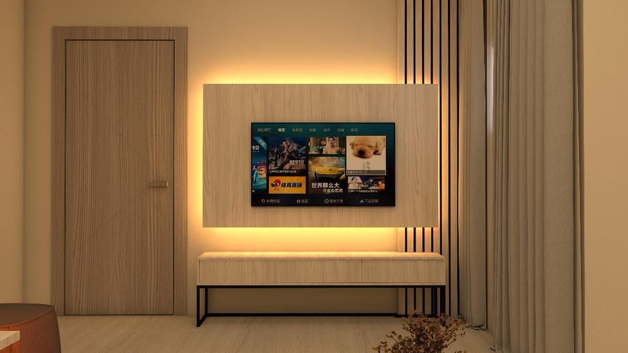 55-inch LCD TV with satellite channels, printers