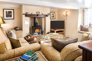 Smart TV, fireplace, DVD player, books