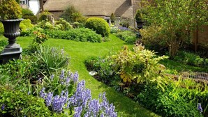 A garden with a variety of plants and a thatched-roof house.