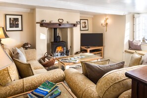 Smart TV, fireplace, DVD player, books