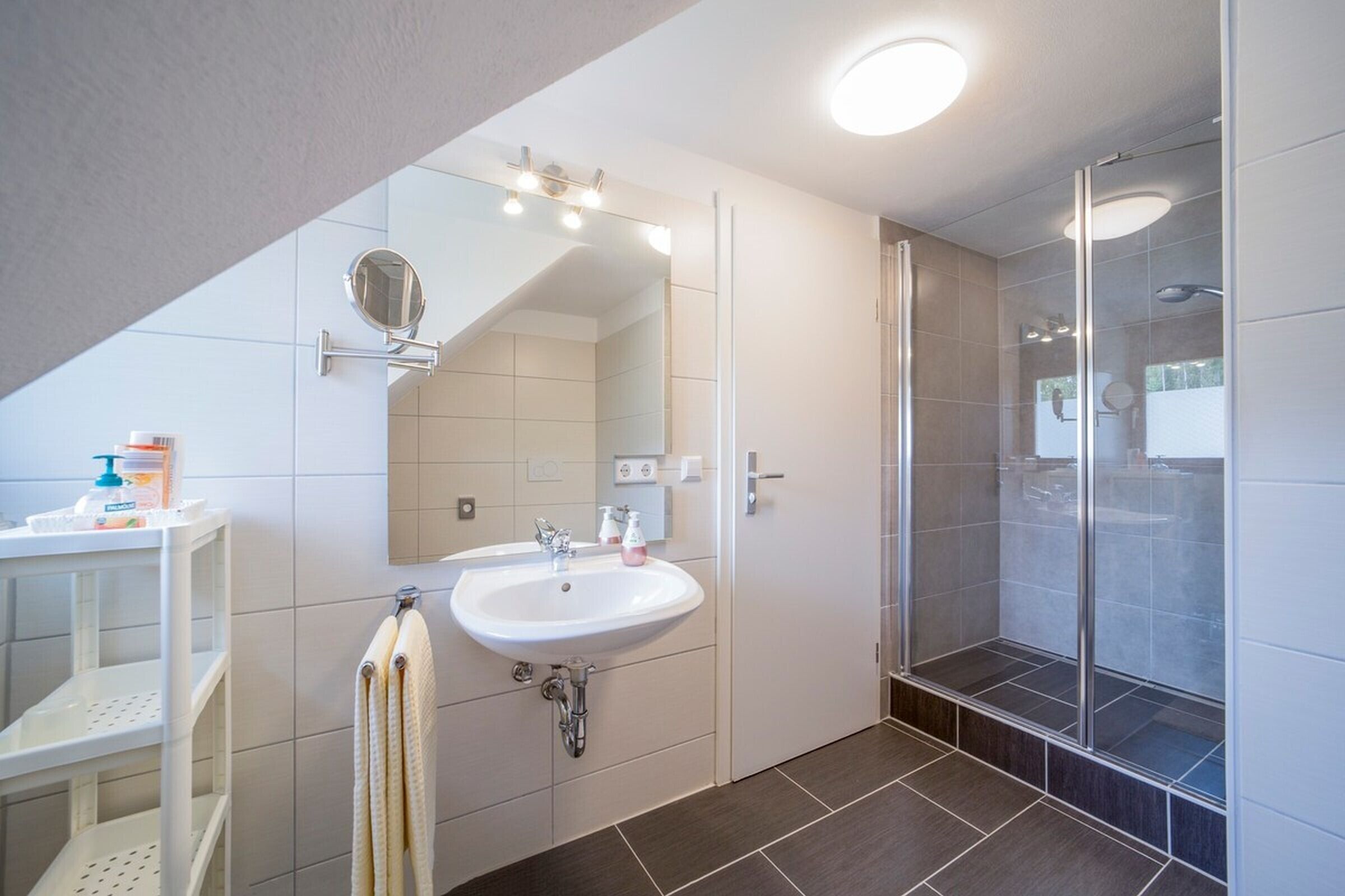 Dusche, Haartrockner, Handtücher