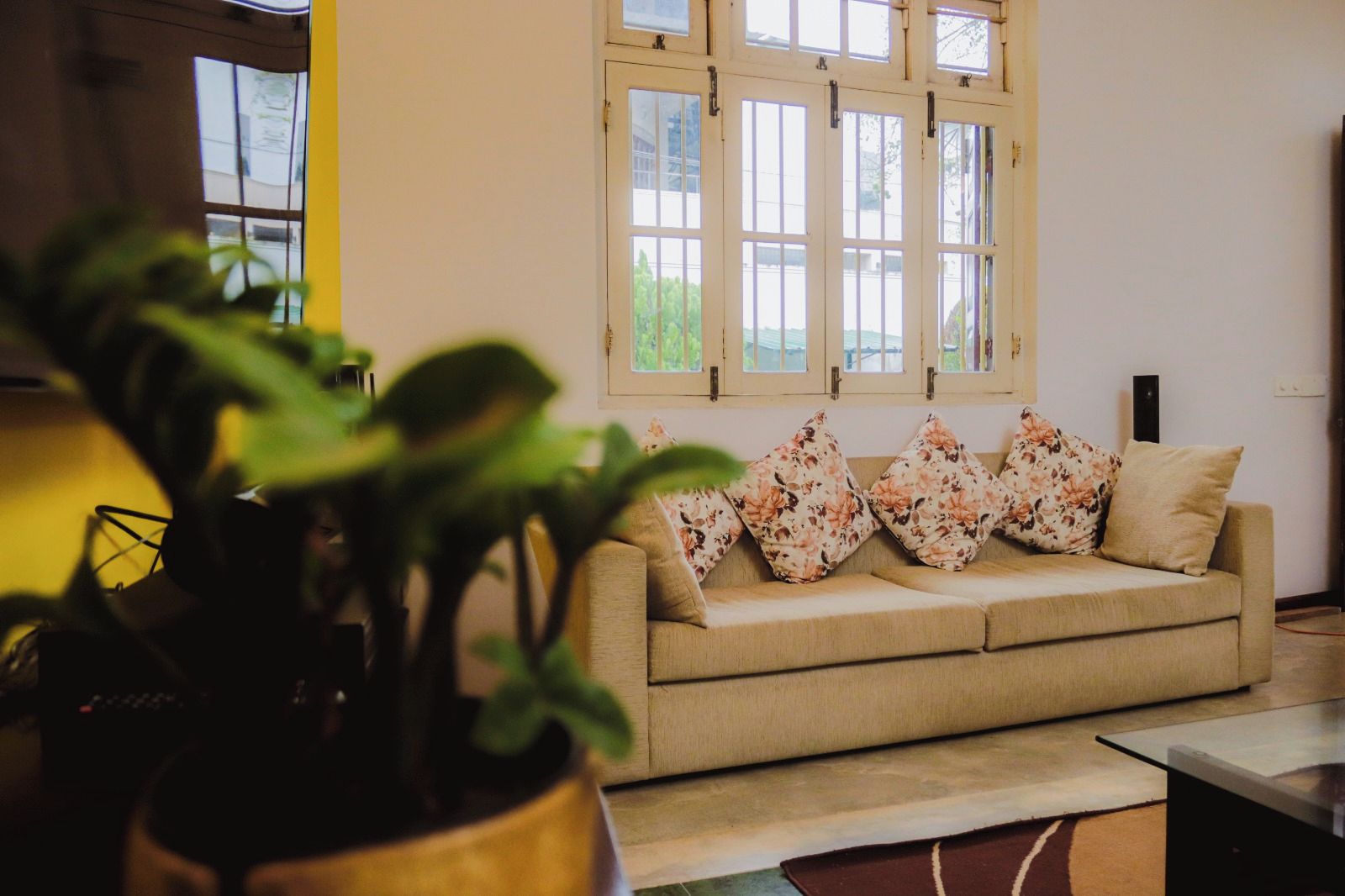 A living room with a beige sofa, floral cushions, a potted plant, and a window with multiple panes.