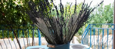 屋外ダイニングエリア