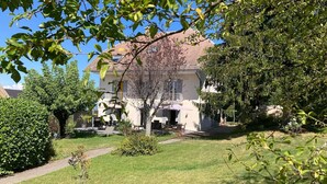 Un immeuble résidentiel doté d’une pelouse bien entretenue, d’un chemin et de différents types d’arbres.