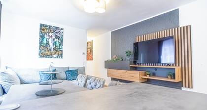 Amazing 2BR 1LR Apt Near Donaustadt