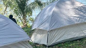 Tenda | Wi-Fi gratuito