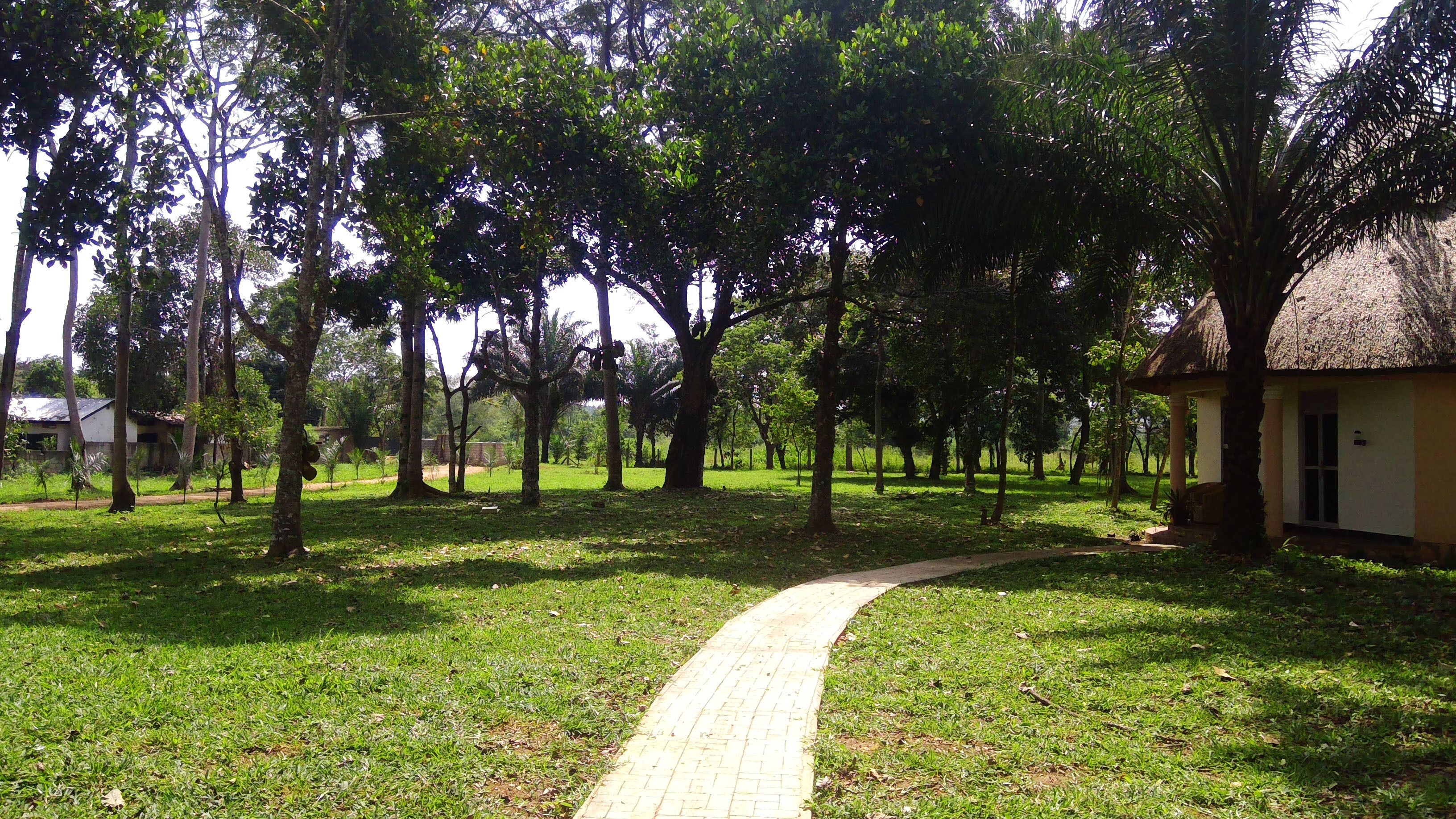 Telt | Terrasse/patio