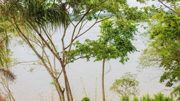 Een natuurlandschap met bomen en een waterpartij.