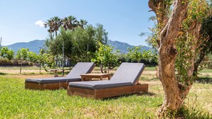Un'area esterna tranquilla con poltroncine in legno e un albero.