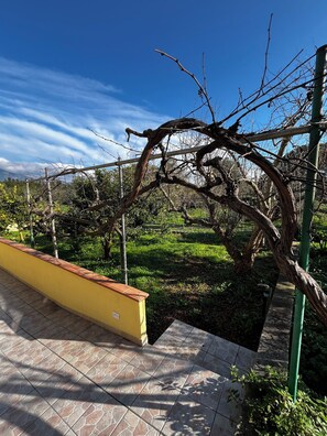 Jardin