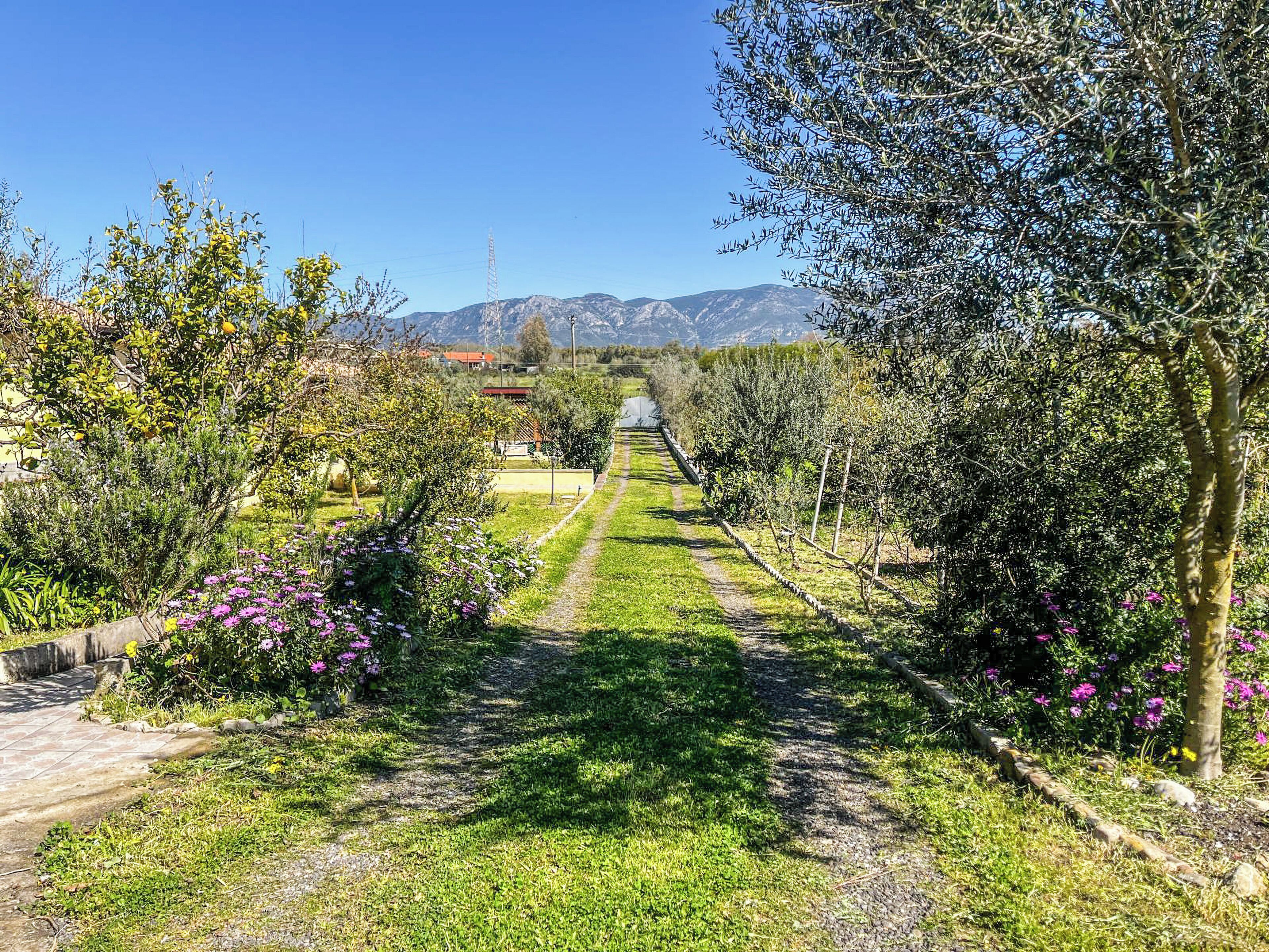 A pathway through a garden with trees and flowers, leading towards a mountain range.