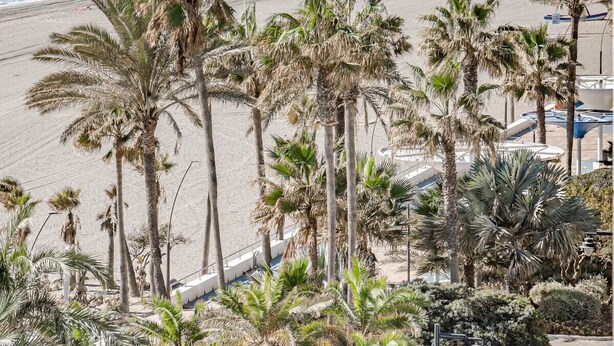 A beach with palm trees, a rocky breakwater, and a clear view of the ocean. - Eac3f- Modern & Light Apartment Steps From the sea (Estepona)