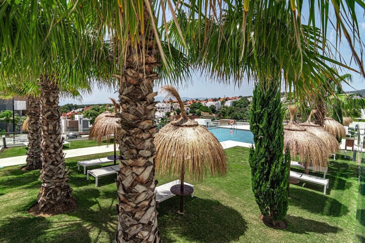 A poolside area with lounge chairs, thatched umbrellas, and palm trees.