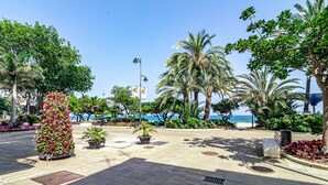A paved outdoor area with potted plants, benches, and palm trees. - Le2c Luxury New Build Apartment Near the Beach (Estepona)