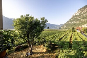 Miscellaneous - Apartment Miros with Mountain View, Private Terrace and Wi-Fi (Magrè allʼ Adige)