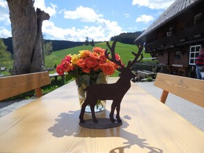 Outdoor dining - Raublick Holiday Apartment (Titisee-Neustadt)