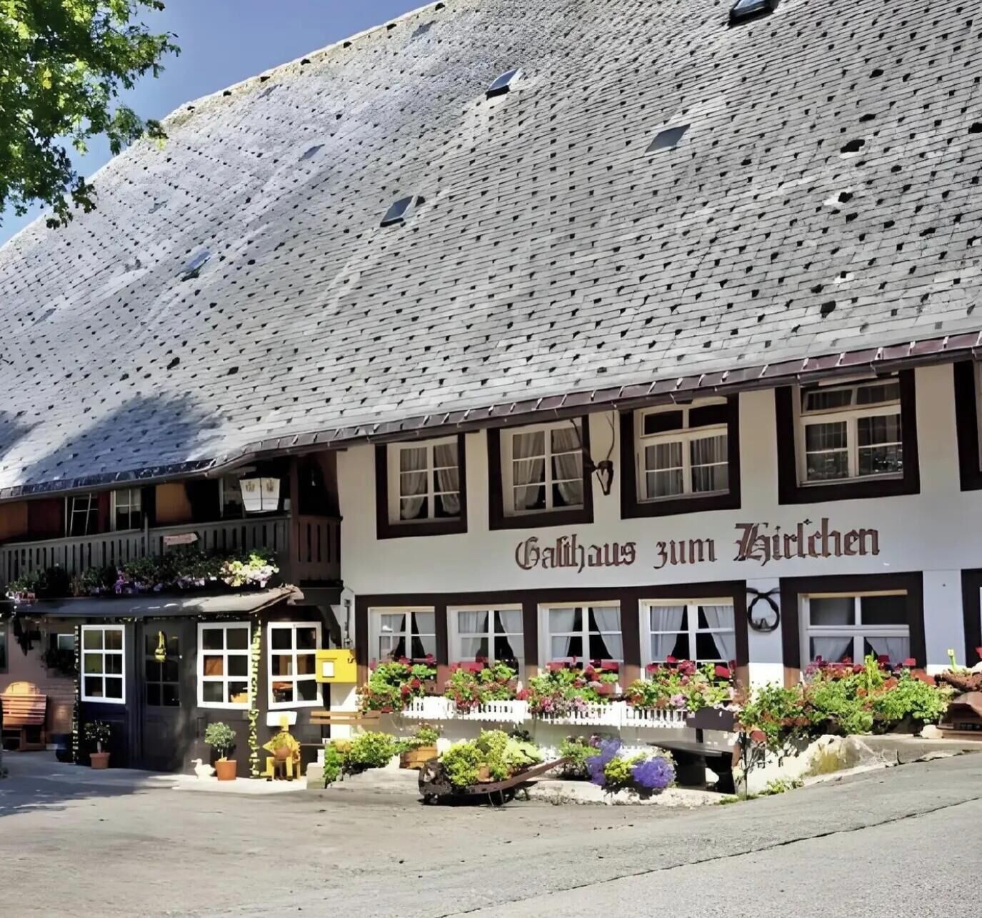 Esterni