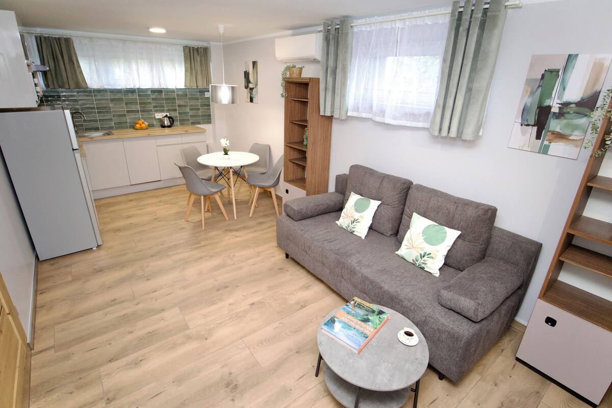 A compact living space with a kitchenette, a grey sofa with decorative pillows, a round coffee table, and a dining area with a small table and chairs.