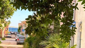 Kapea katu, jonka varrella on parkkeerattuja autoja ja taloja, ja jossa on myös viheralueita ja kirkas taivas.