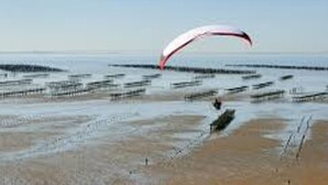 Una playa con un parapente a lo lejos.