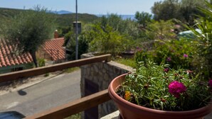 Un balcón con una planta en maceta y vistas a una carretera y edificios a lo lejos.