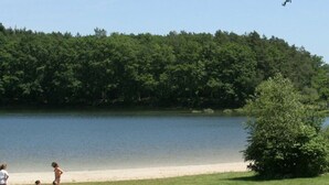 A lakeside scene with a dirt path leading to a beach, surrounded by dense forest. - Mobile home 27m² in Saint-Gérons with terrace (Saint-Gérons)