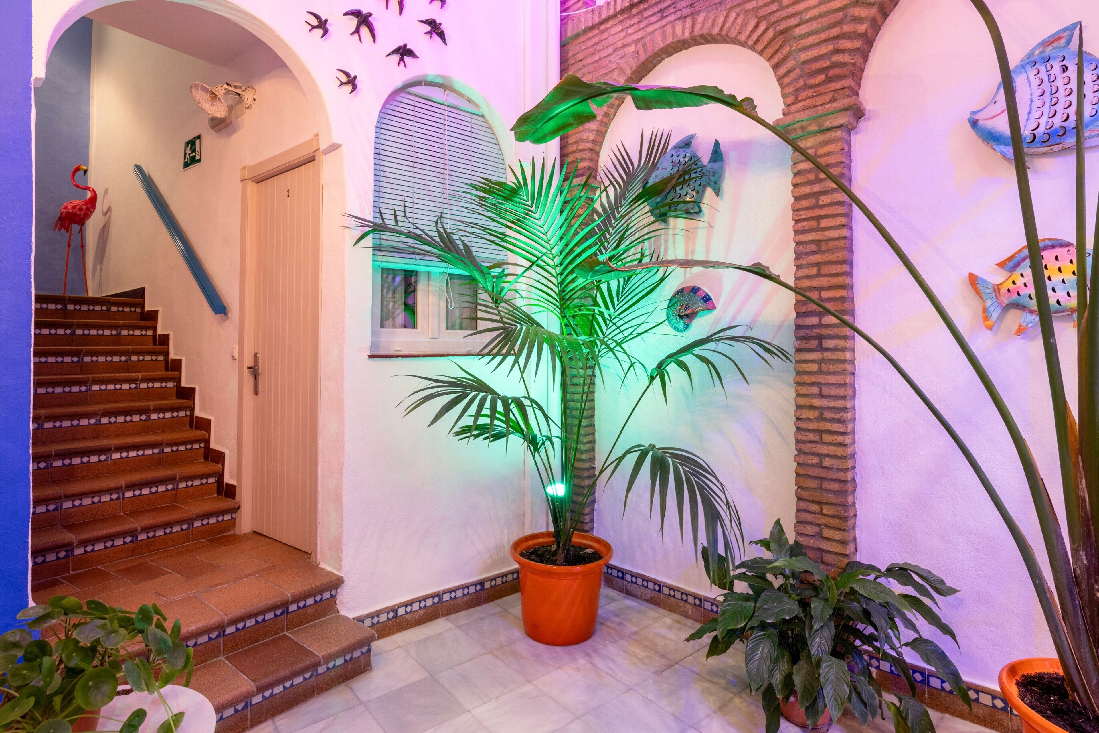 Una escalera con una planta en maceta en el centro, una puerta y una pared decorada con peces.