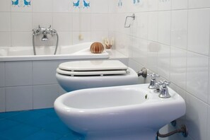 Dutxa, bidet, tovalloles i paper higiènic 