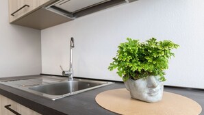 Una cucina con lavello, rubinetto e una pianta in vaso su un tappetino rotondo.